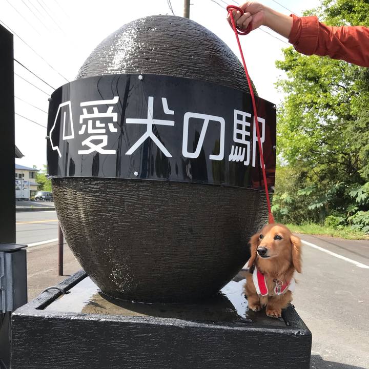 A174f47f 6c24 4189 aa47 07dfaf2359c2 1556844172959