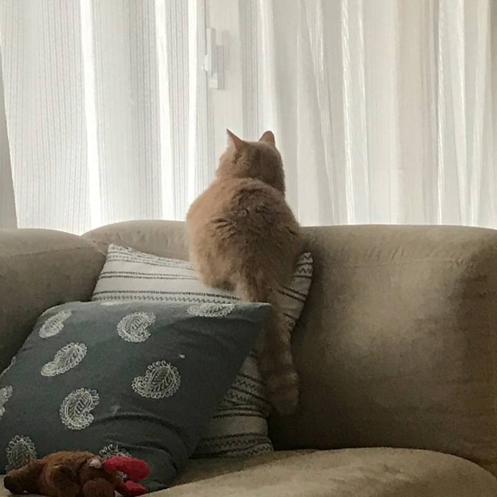 A174fbc0 d838 4e2b 9405 c591fb30bb96 1562235855375