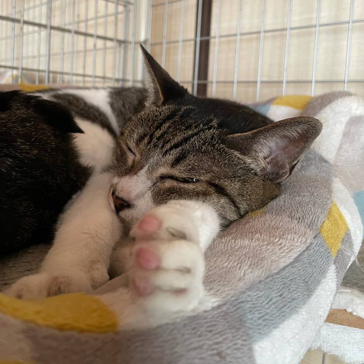 A174fcf9 7b29 4bc7 bbb4 034ff33b98e8 1630807011933