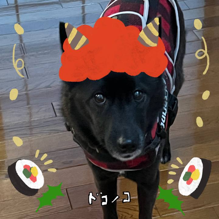 A175267c 5a14 4d05 81b4 11d6cb826296 1706760462635