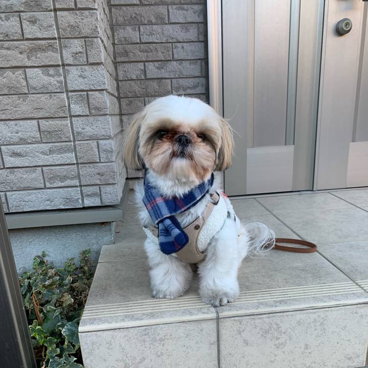 A17528bf 5b9d 46bd 928a dbe9be205b70 1609485275546