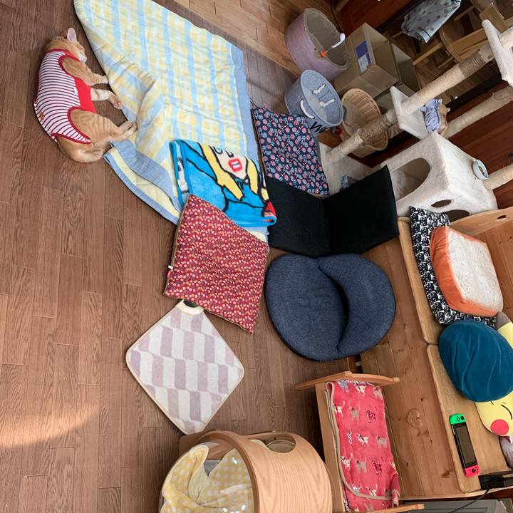 A1753250 6e18 4ce3 af74 a39cd0eff403 1592695124252