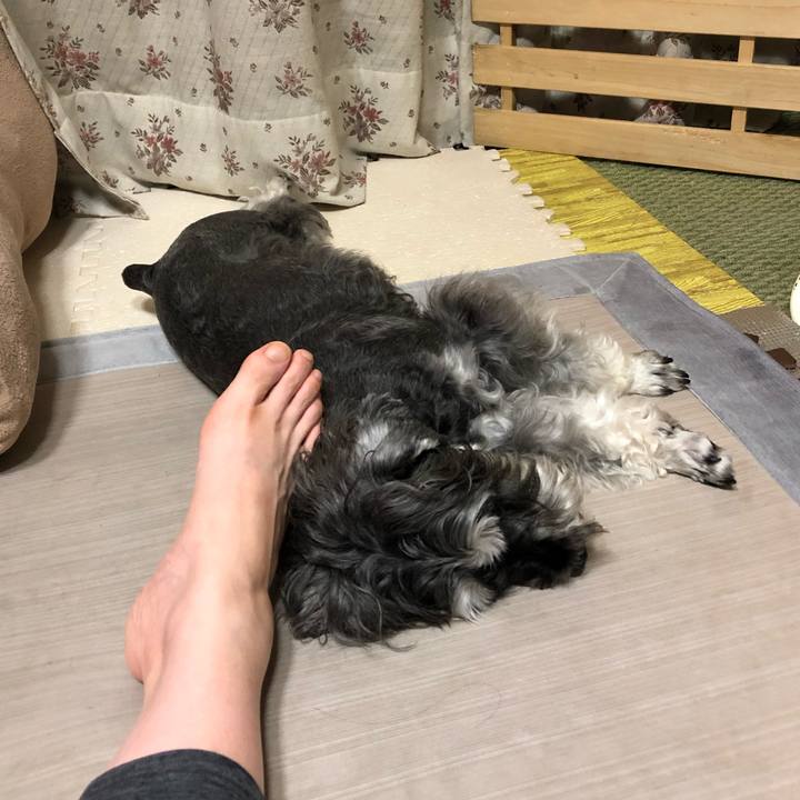 A175811a 6aa4 469b 89ee 5d7b788e58fb 1625828073716