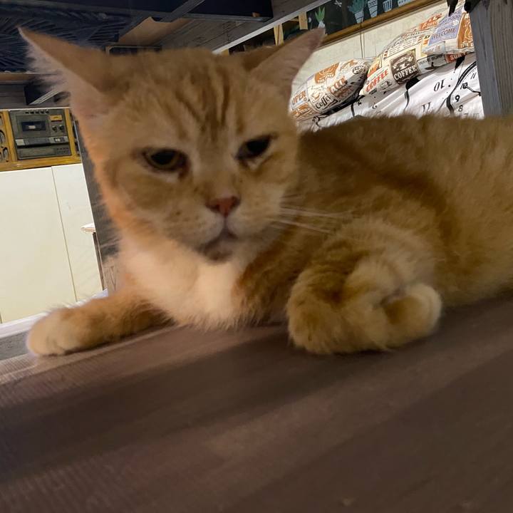 A175a6dd 7e1d 4d4e a406 9736612527ed 1629550126537