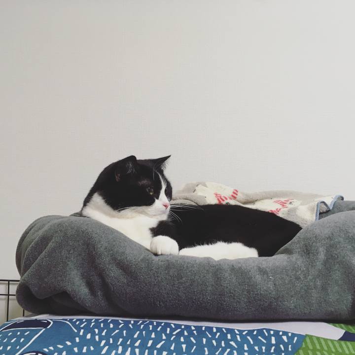 A175b891 7d2c 4f89 895d 722700ffb1c4 1583362280266