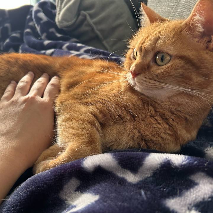 A175d037 7618 47b5 af9b d14074e52dd5 1736658670608