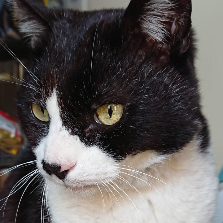 A17607ea fe90 42f3 8bb1 5ef0240c77e5 1649373351683