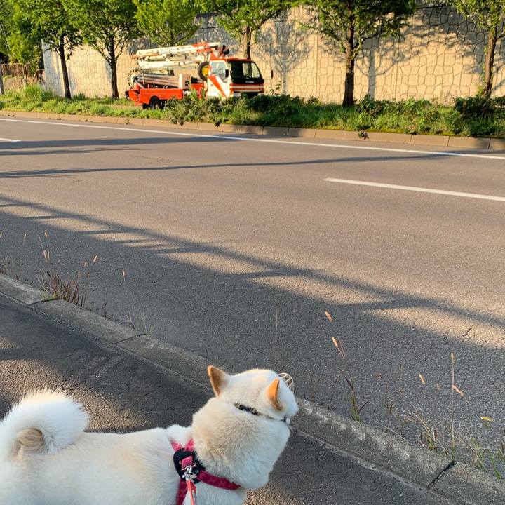 A1760e56 2005 4962 92cd bf73850d580a 1567374613492