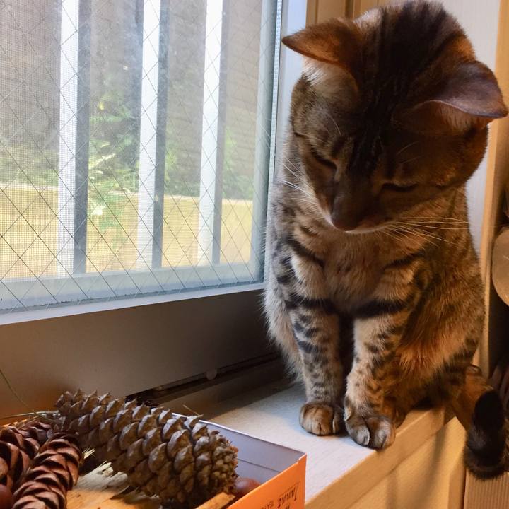 A176206e abfb 44b5 a8df 7cae4a76a9bd 1538879188992