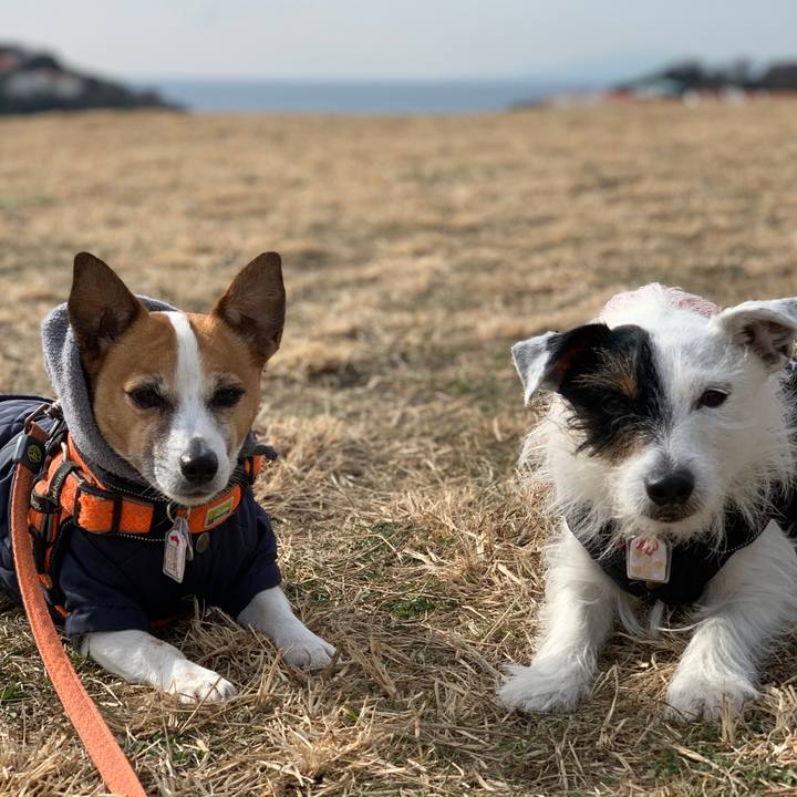 A17659df acc9 4225 86b8 80802e4f1265 1610852593455