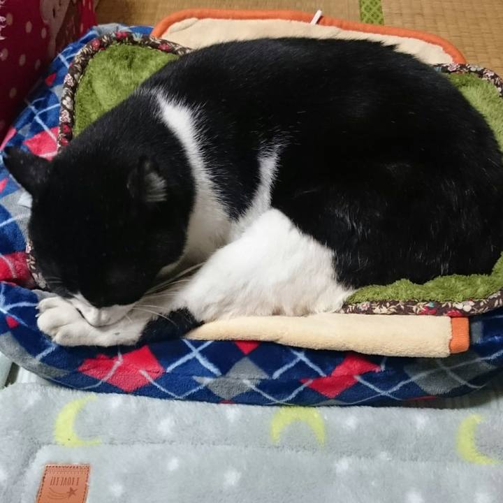 A176670b 3108 45a7 af9a ad6f472a1721 1509115104557