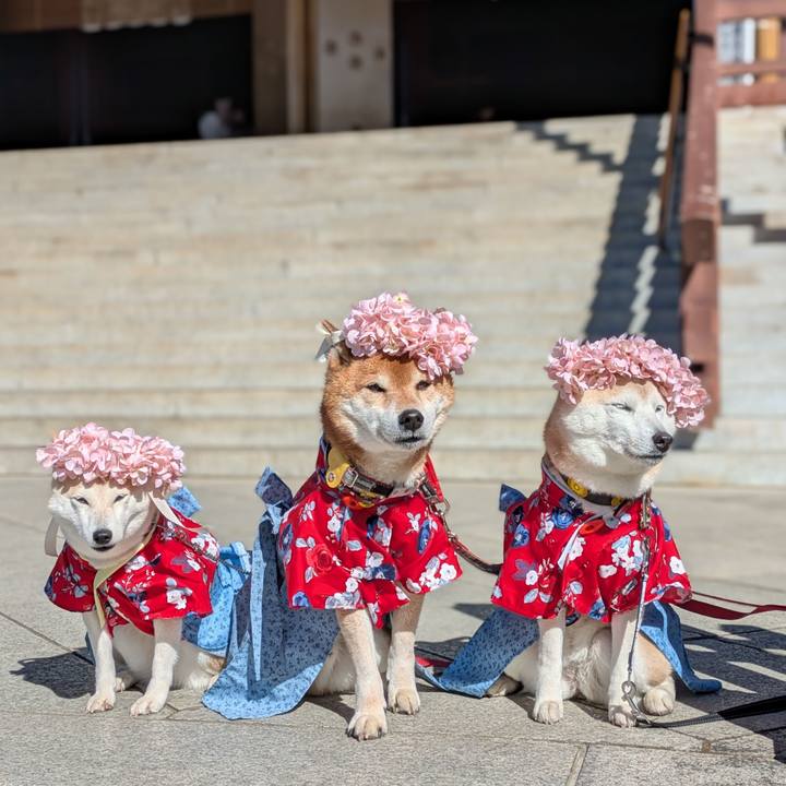 A1768372 e07f 44d4 8176 3502346e0d28 1740325103840