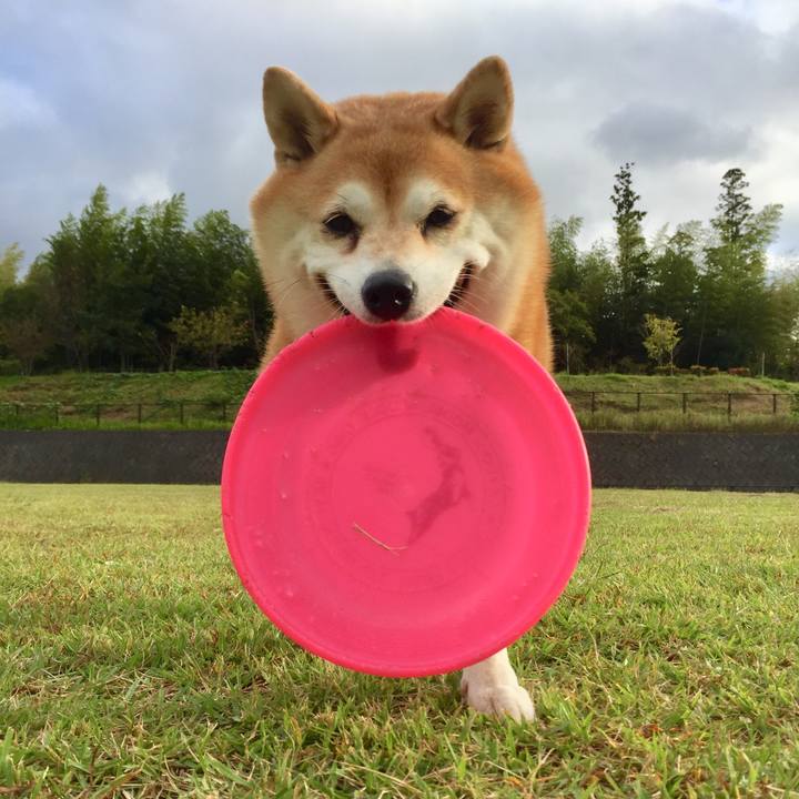 A1769e8b 1ad6 41a2 a836 52c88c14bb92 1633663431617