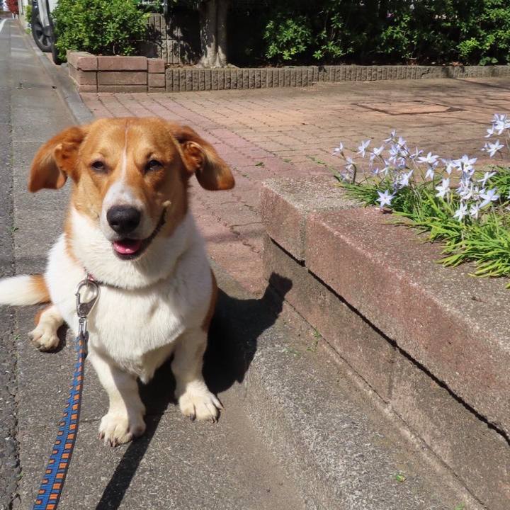 A176fb1d febc 4dc6 9f8b e5610cff31c4 1619138195660