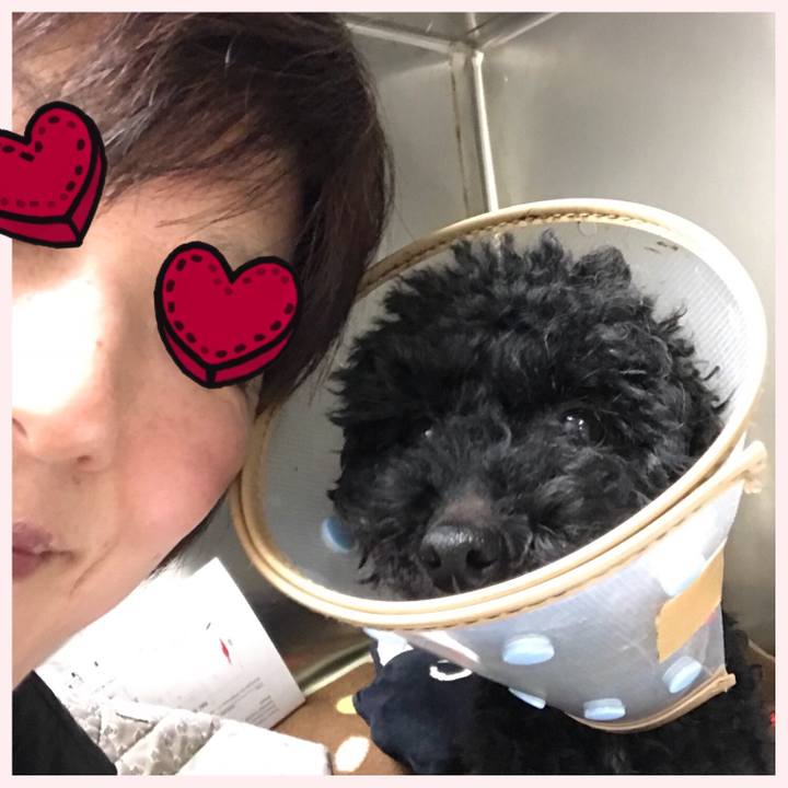 A1774031 ba27 450f 8a7e 26a500f25112 1519196244103