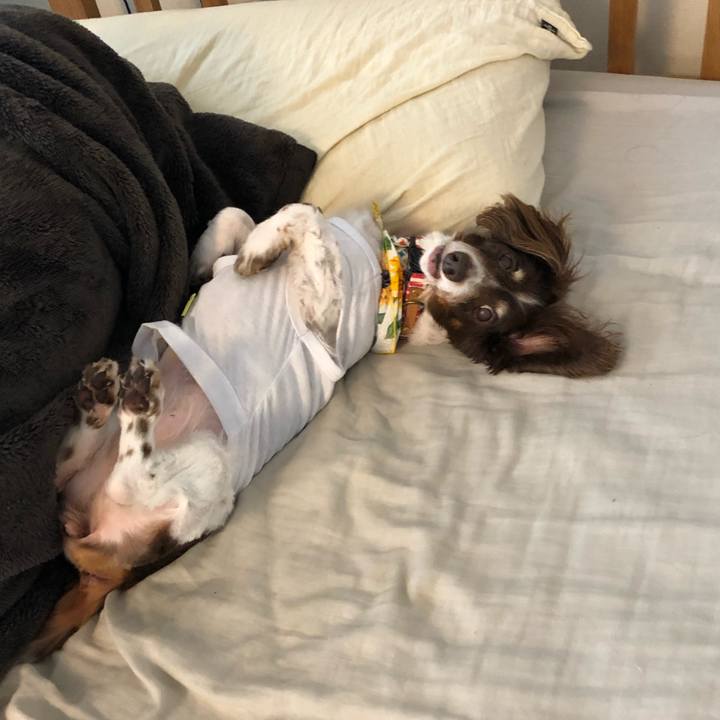 A1774aec d7fb 4c94 89b3 847d4cc9ffac 1567072640273