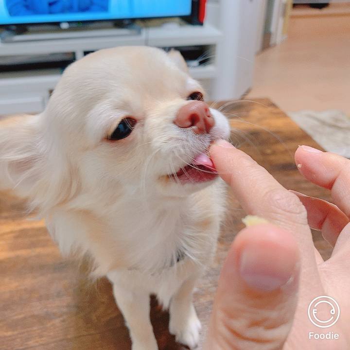 A17762f1 9e00 4c77 9233 ce56cc3496be 1608287055501