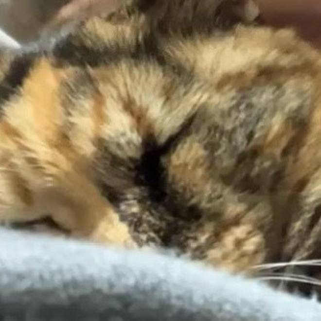 A1777784 1059 4949 b0d9 c516681b49e9 1733736990835