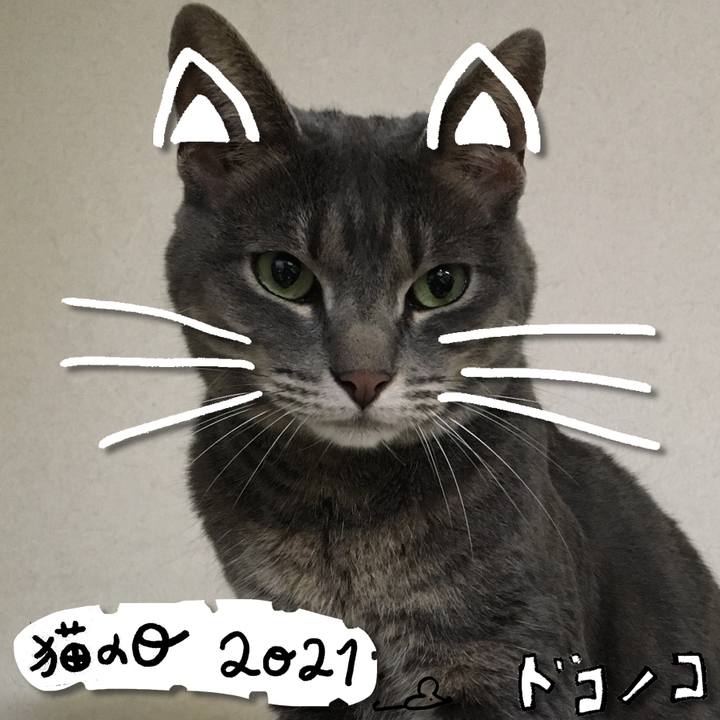 A177dc5e b504 4578 b10f 34531410ac8b 1613989202785