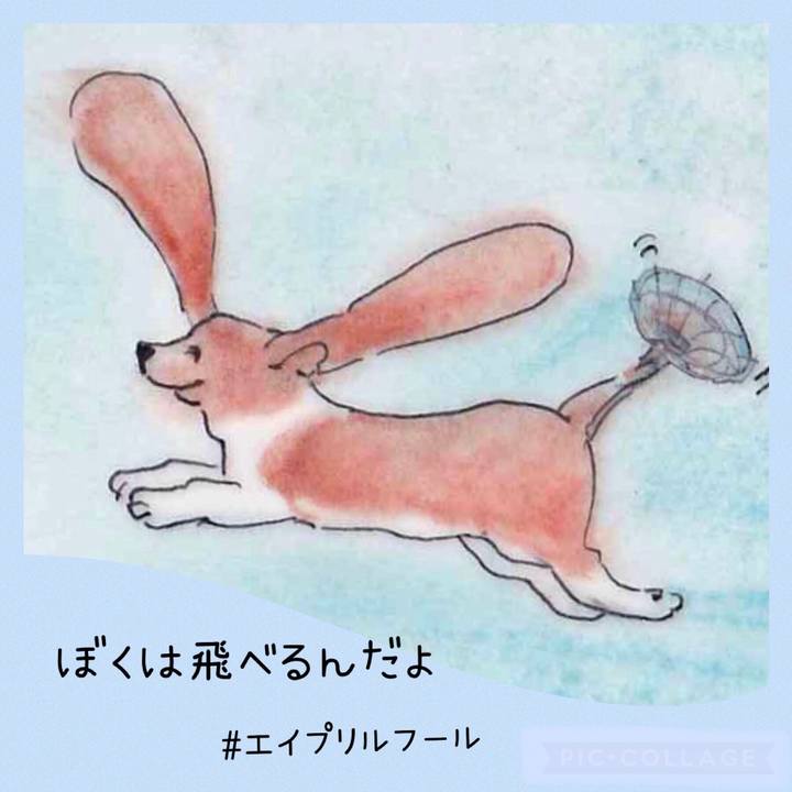 A177ff57 d1c4 4a99 92c4 c1735312e850 1648783647111