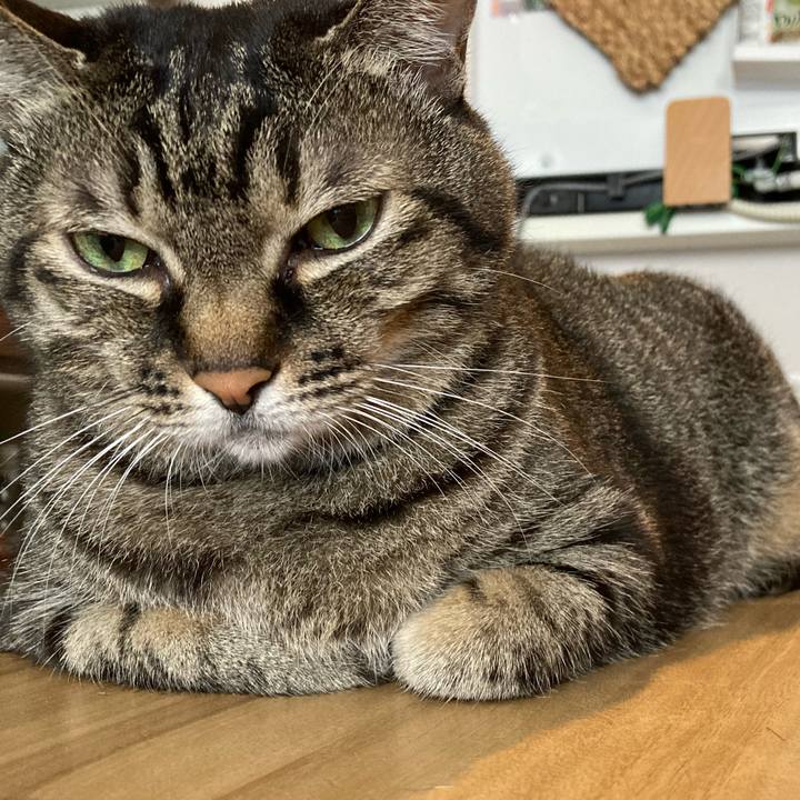 A1781c03 ff00 4eb3 b116 800fd1d92940 1728880928798