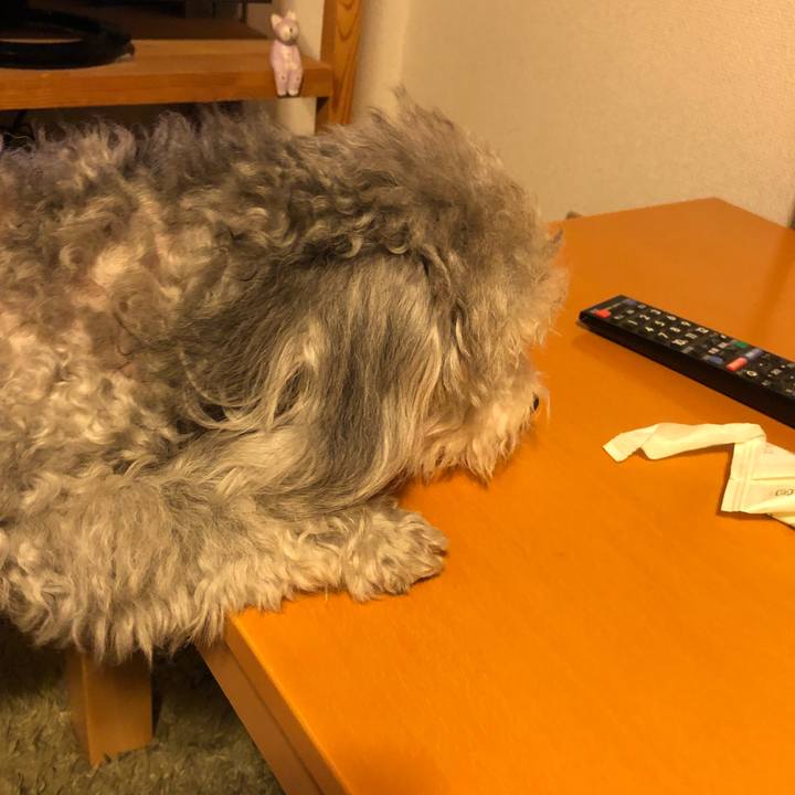 A1784d06 9a92 41fc b80a 2290b6bd21a0 1522590682305