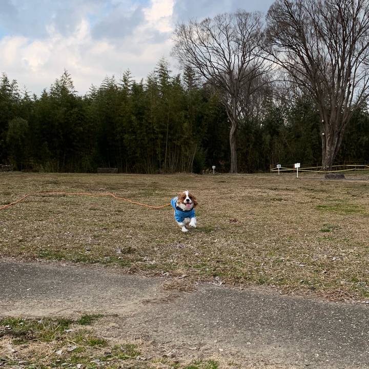 A1785043 5327 447a aac8 759268955732 1550392195352