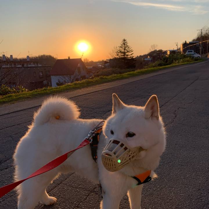 A178a126 39b8 494c a839 a59bb7de6950 1618951044842