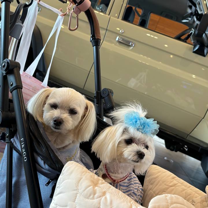 A178d414 f4d2 400a b4c5 f1bb8dce4587 1749777169948