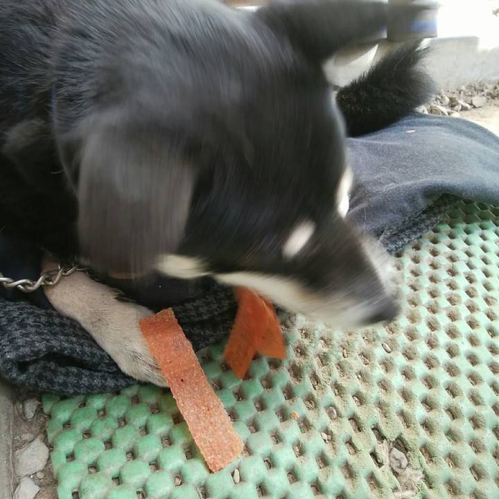 A178f176 5772 4ca5 9427 6e2535aeef8b 1540693685496