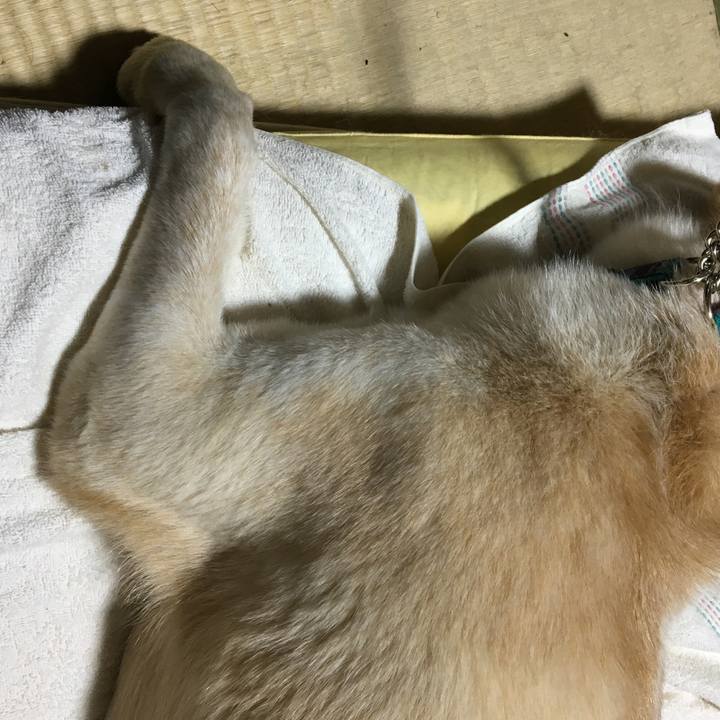 A178ff8f 13cc 4ece 919c 4e871ebd56ad 1528726909211