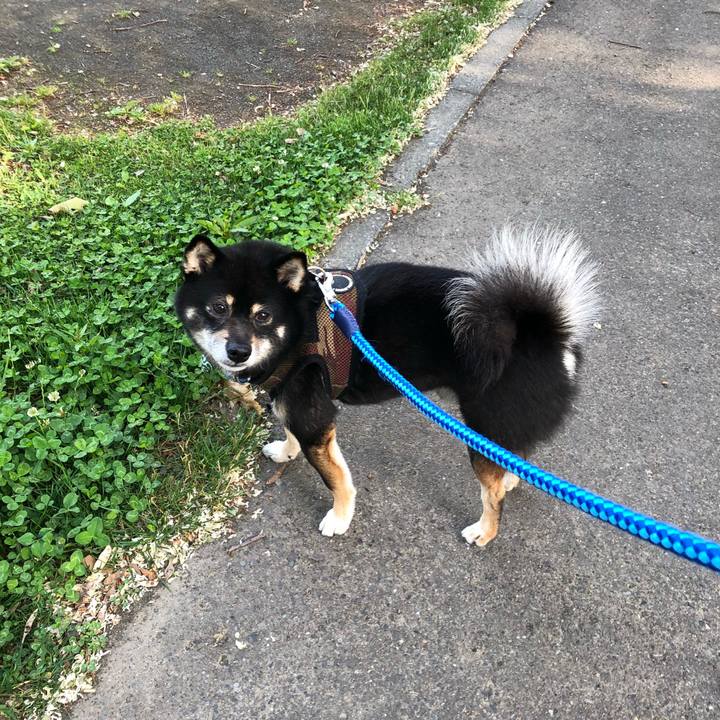 A1790cc4 b051 460c b54c ab77e61d492d 1529918809527