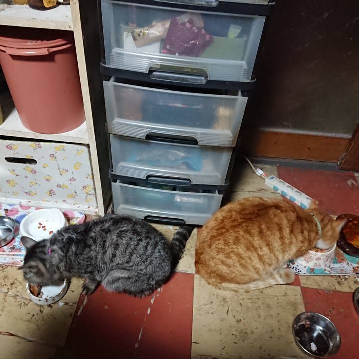 A17924e1 4234 4a8d ae42 605dadc69f5e 1583438110985