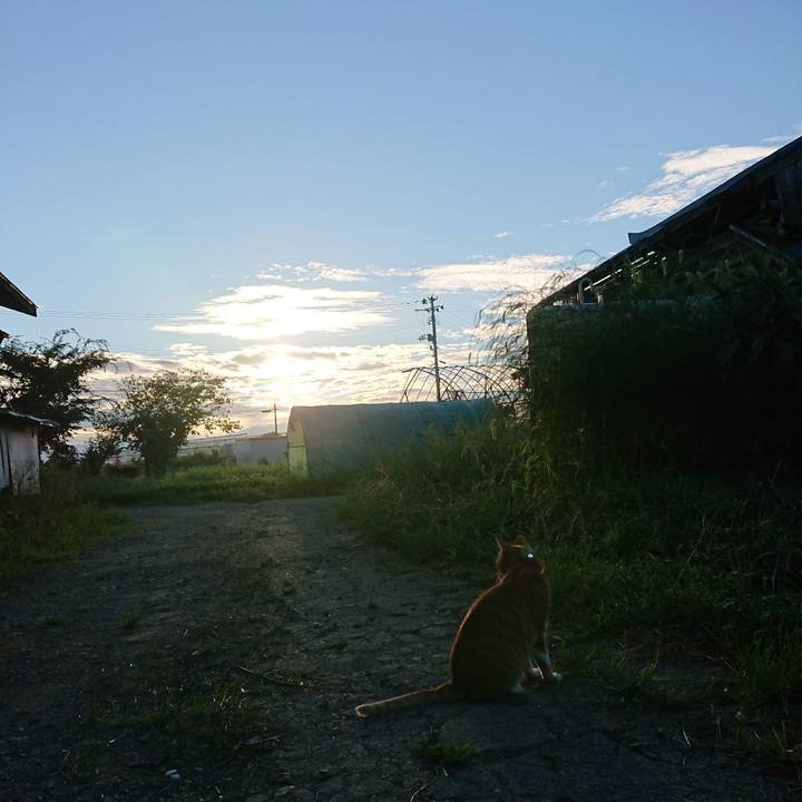 A179a711 8516 4660 84df b38ff1591a56 1599425884437