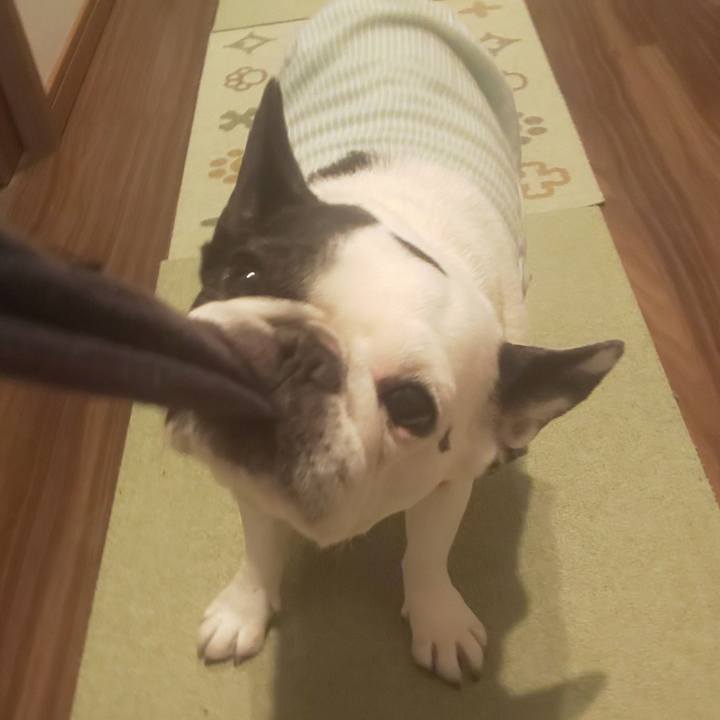 A179b602 c561 4a85 837a f0661285a263 1683870963944