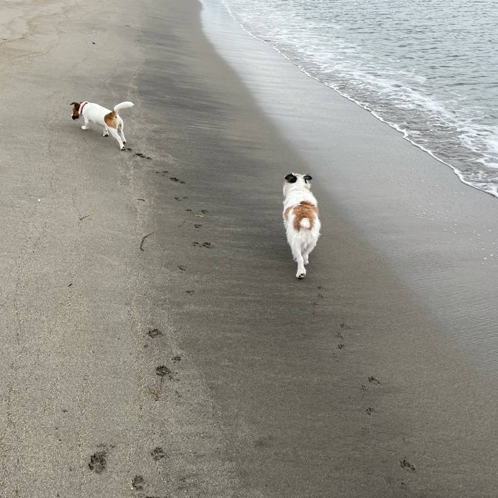 A179bf2b 5b44 4855 9de5 5607f7f558da 1632613064934