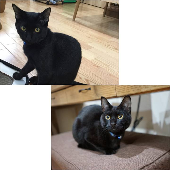 A179dbf8 8dee 4278 8a7b 56edea1cfde9 1511860588116