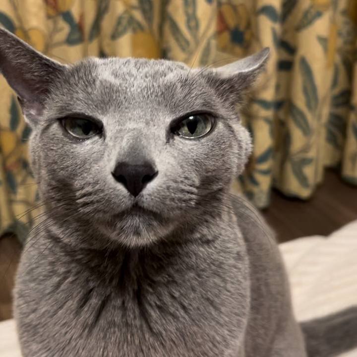 A179ecfc dc24 4dbe 9814 8d433e5a676d 1738418423270