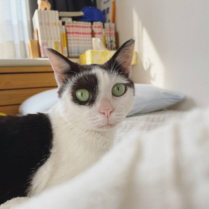 A17a0081 c08f 42fb 89e4 28e5d1f7aeca 1652914834316