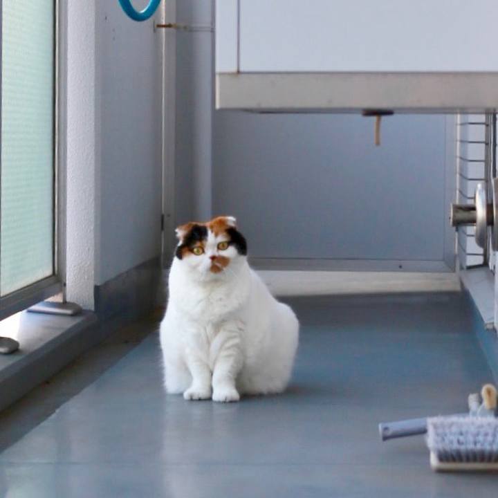 A17a03da c0cb 4fe9 9064 6ff4f2d315c7 1569826453880