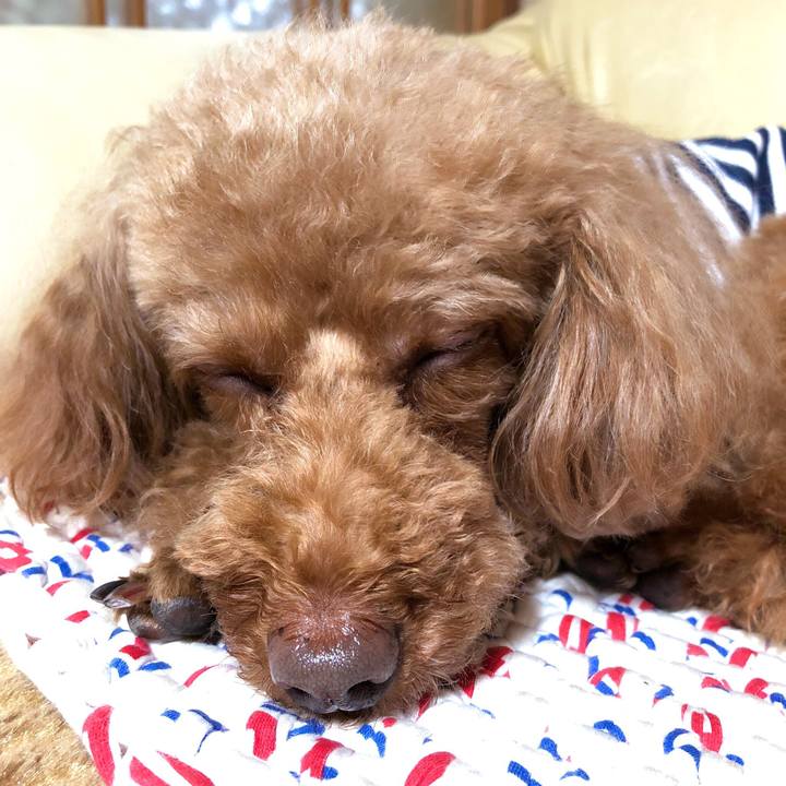 A17a5626 b443 41f5 8967 470e984e0424 1557135241617