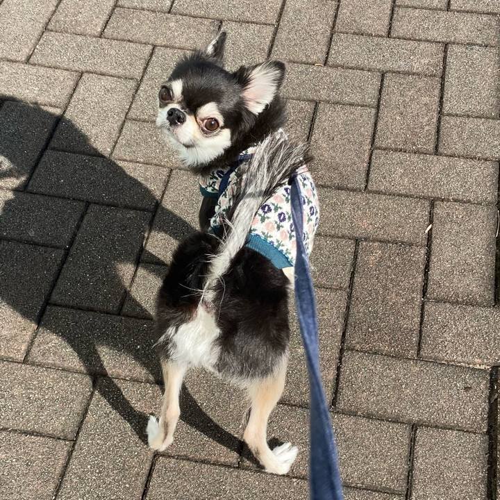 A17aa180 1cc6 4d66 8198 5fe47828505a 1670388086352