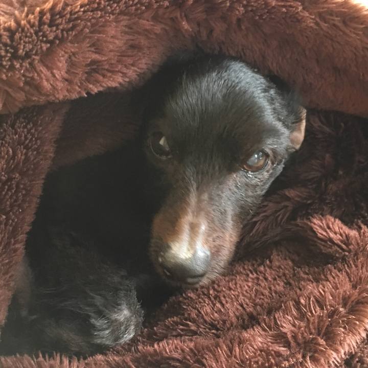 A17adbc4 db4c 42d3 a1e2 cd1d8b617f52 1553120229250