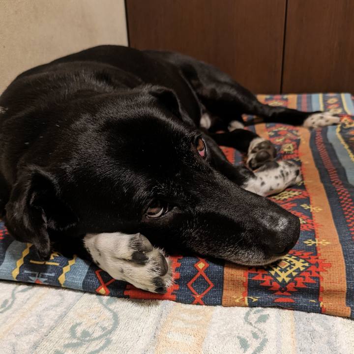 A17ae0e9 63d4 471b adca 0cd313d71803 1716425118308