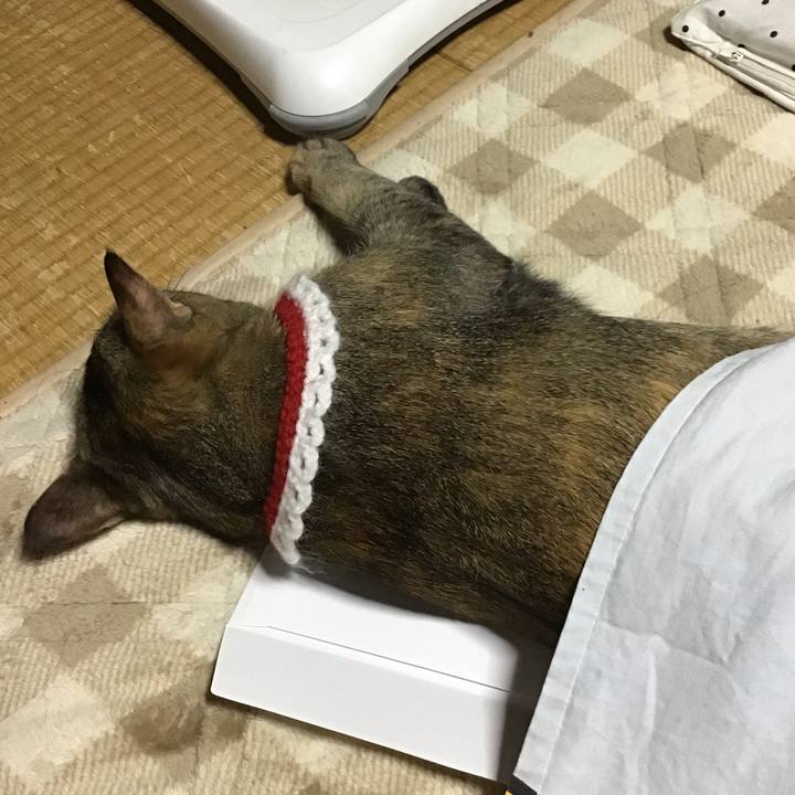 A17b85e5 b4a0 45f9 a433 d9d01fcf628e 1609230196302