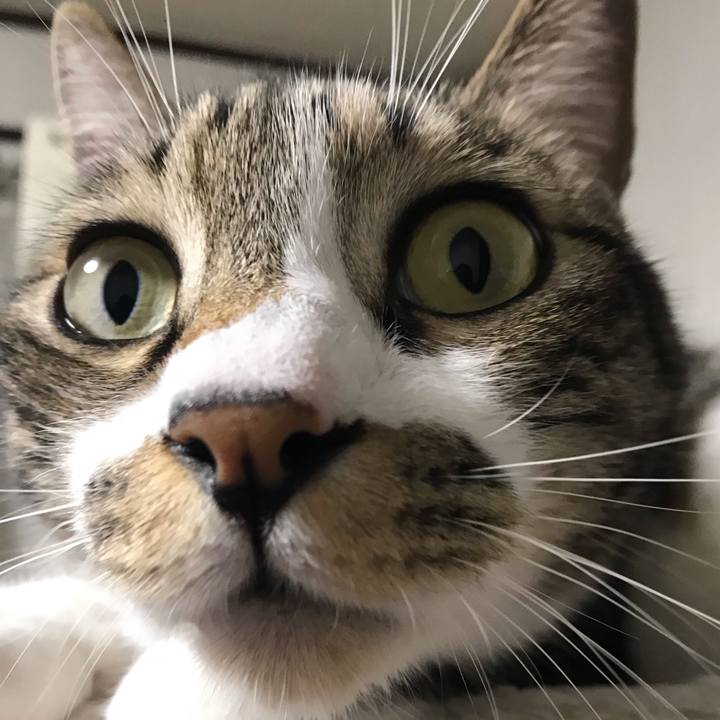 A17bcee7 0d55 43fe 9fd3 ec7e21d06de8 1543413669615