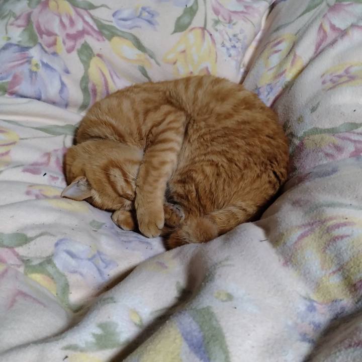 A17bd970 db2b 4d2d b389 ea206c179555 1668344568118