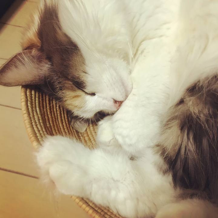 A17c0652 c2c2 45e8 a9f9 fef853d23ae1 1538452148445