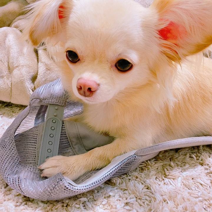 A17c10da 3202 48e8 a17d b39b0bbc4e6c 1627216613351