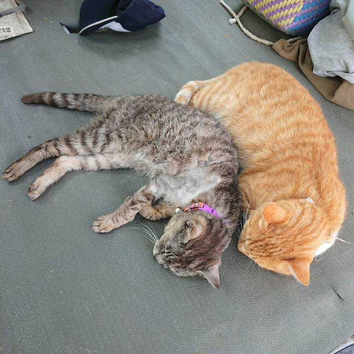 A17c10e8 a2e6 4dbf 8daa 15d81c8374b3 1593325170225